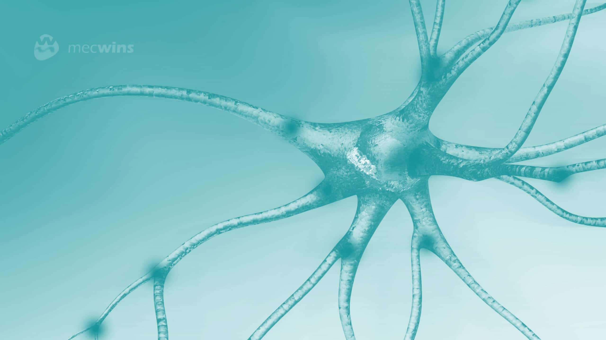 Blood Biomarkers for Alzheimer’s Disease: Why Ultra-Sensitive p-Tau and NfL Detection Matters