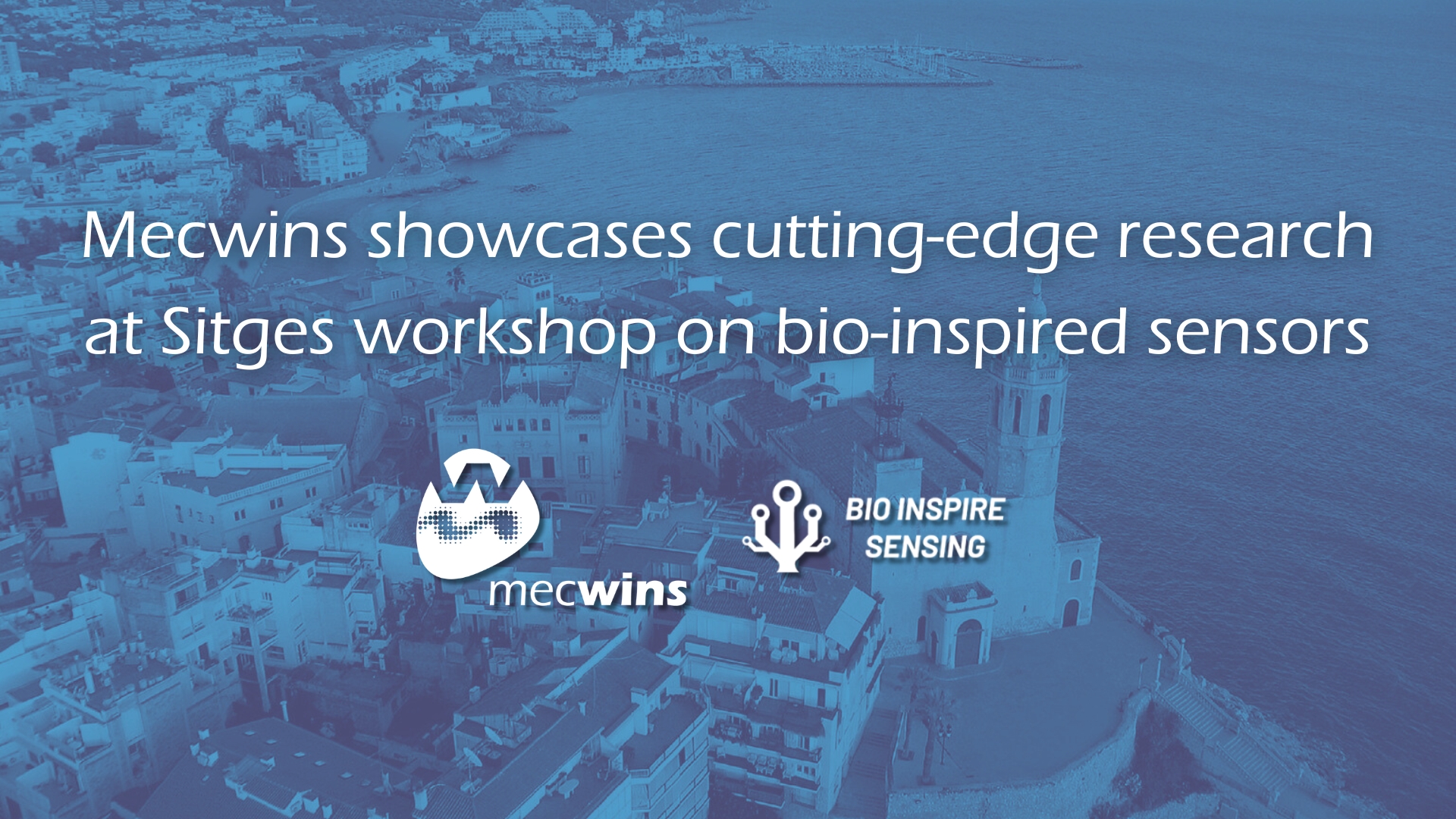 Mecwins showcases cutting-edge research at Sitges workshop on bio-inspired sensors