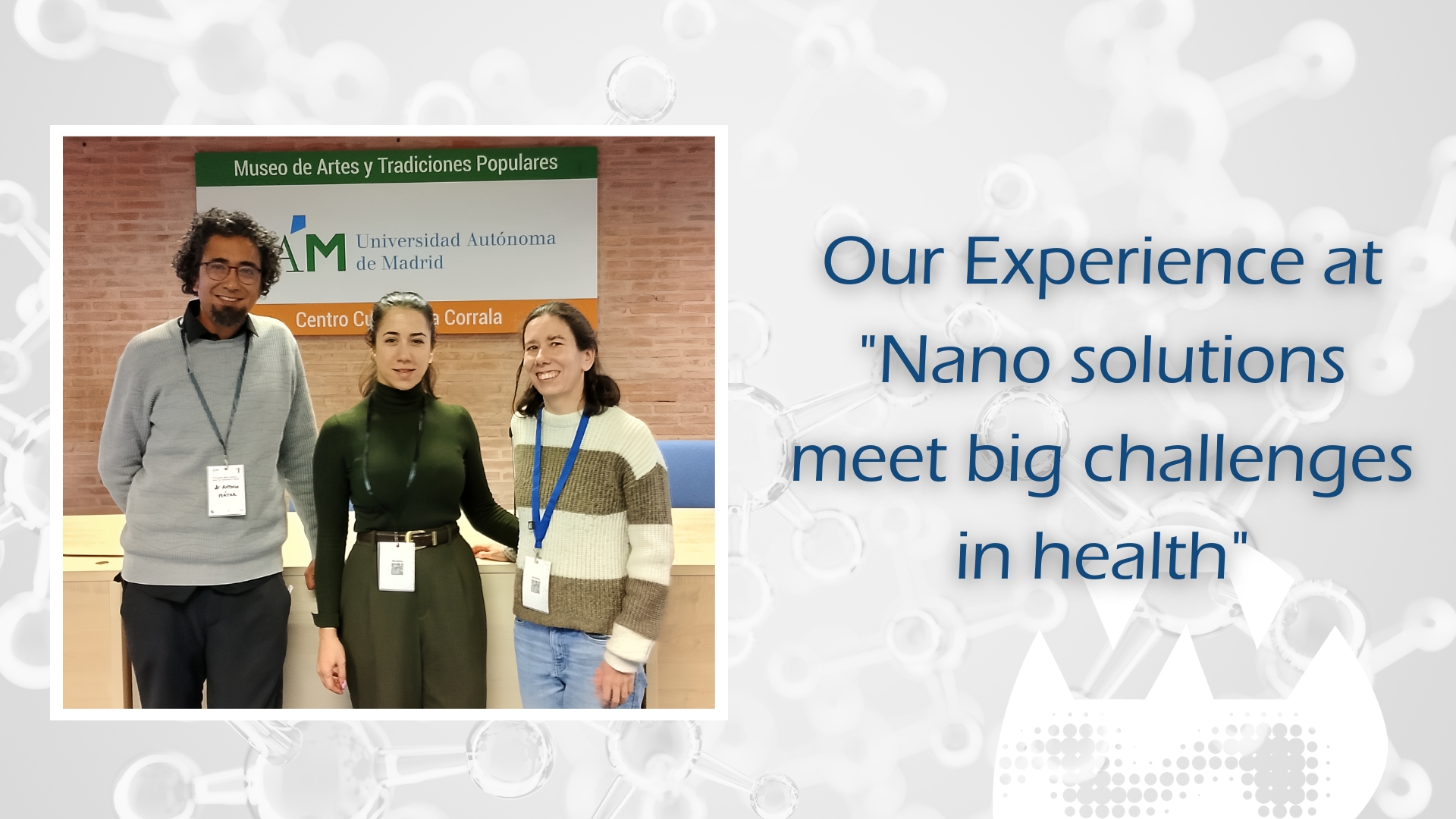 Our Experience at Nano solutions meet big challenges in health